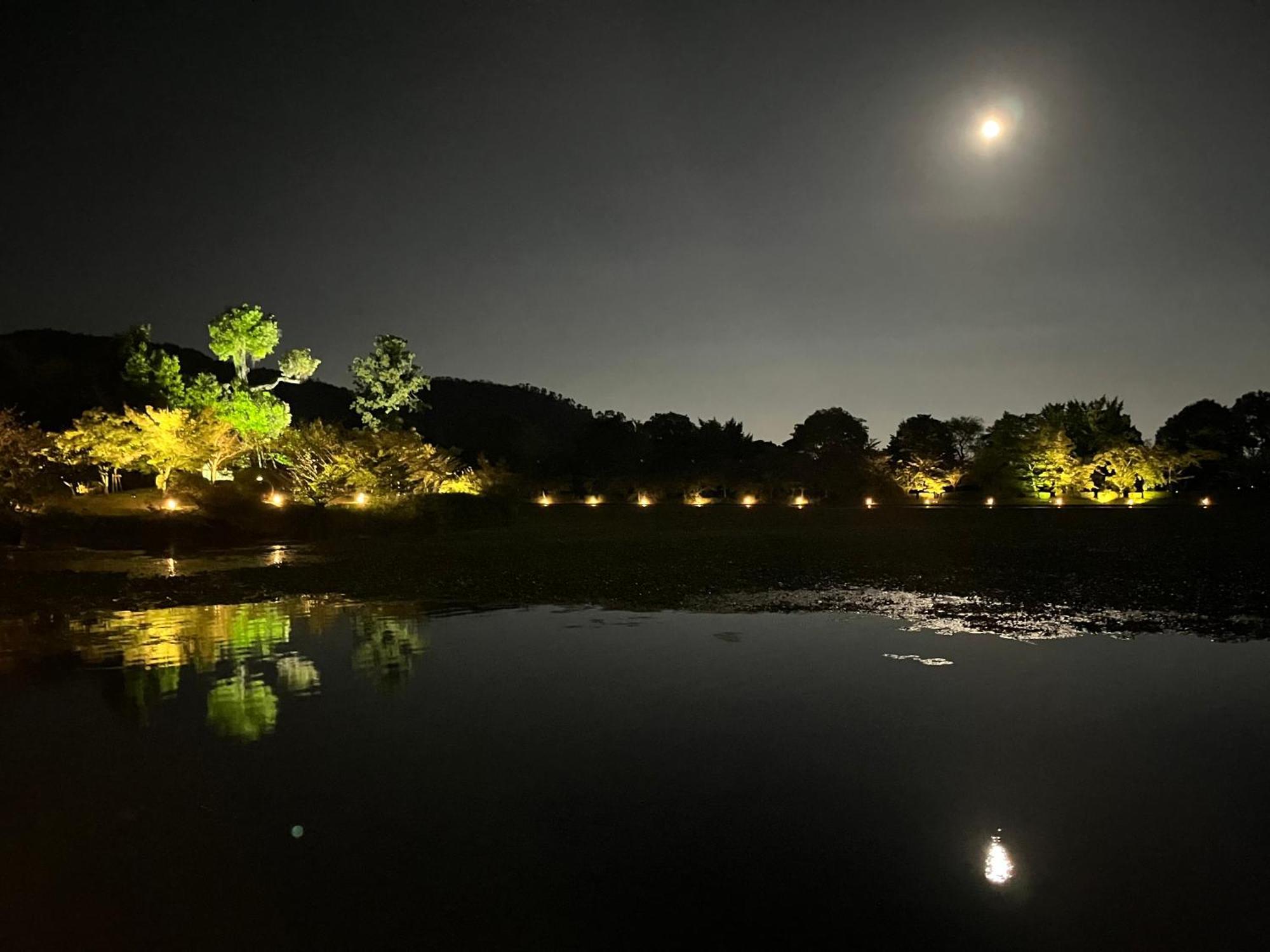 嵐山 天龍の宿 駐車無料 一棟貸切 最大5人 Dragon Legend Arashiyama Central Private Rare Modern Villa Free Parking Max 5Ppl Shimosaga Экстерьер фото