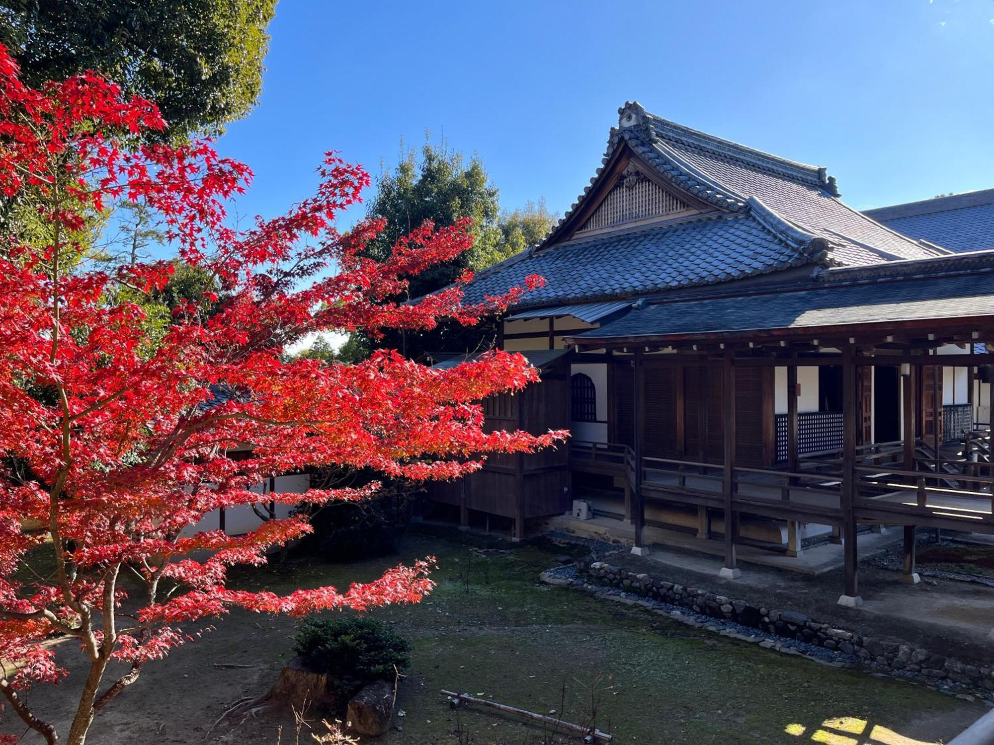 嵐山 天龍の宿 駐車無料 一棟貸切 最大5人 Dragon Legend Arashiyama Central Private Rare Modern Villa Free Parking Max 5Ppl Shimosaga Экстерьер фото