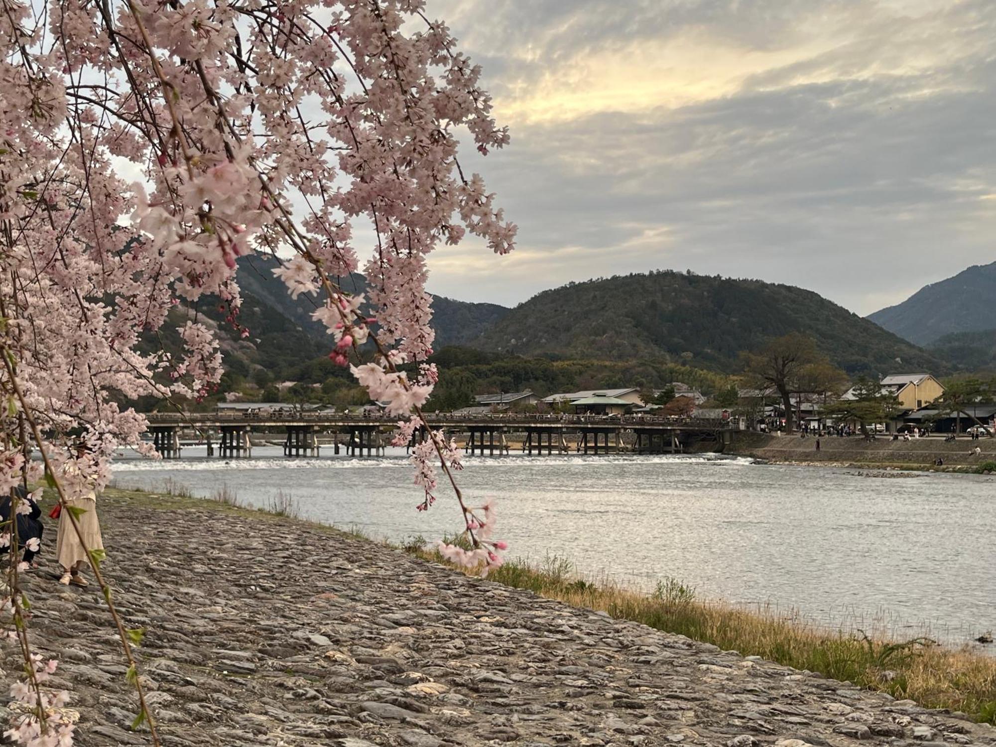 嵐山 天龍の宿 駐車無料 一棟貸切 最大5人 Dragon Legend Arashiyama Central Private Rare Modern Villa Free Parking Max 5Ppl Shimosaga Экстерьер фото